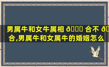 男属牛和女牛属相 🍁 合不 🐝 合,男属牛和女属牛的婚姻怎么样